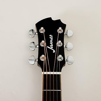 Amazon | James J-500S BLK エレアコ アジャスタブルサドル搭載 簡単弦