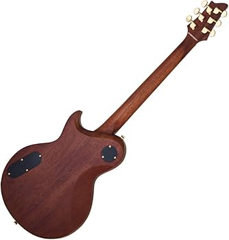 Amazon | AriaproII アリアプロII PEシリーズエレキギター オール