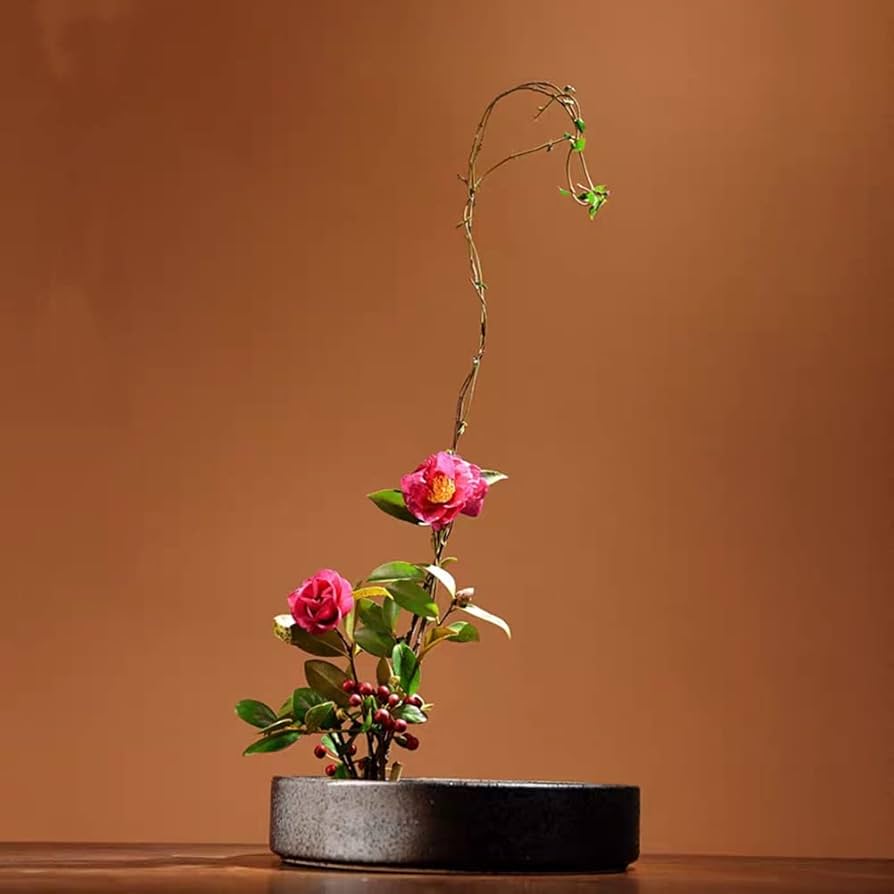 Amazon.co.jp: 生け花の器の生け花の鉢の台座の花盤の生け花 生け花用