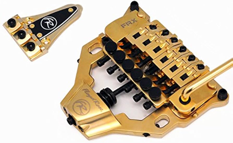 Amazon | Floyd Rose FRX トレモロシステム サテンゴールド | ベース