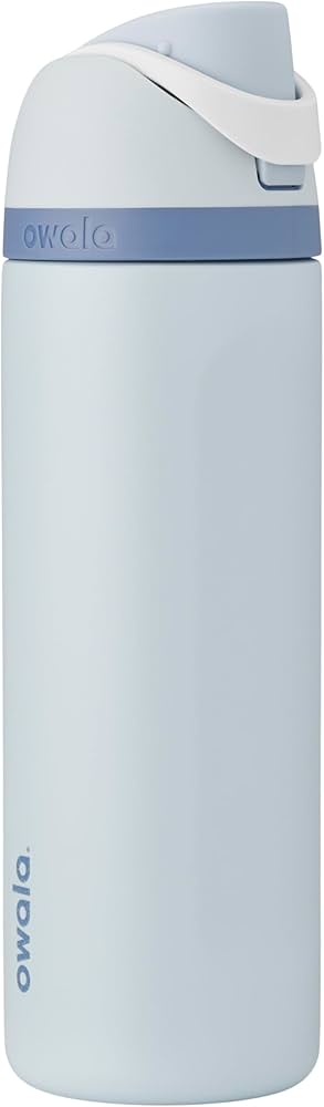 Owala Disney Princess FreeSip Insulated Stainless Steel Water