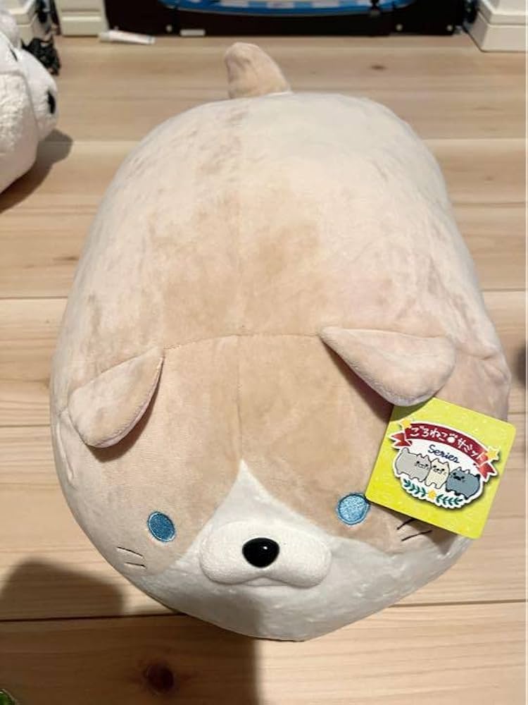 Amazon.co.jp: ごろネコサミット フクイ : おもちゃ