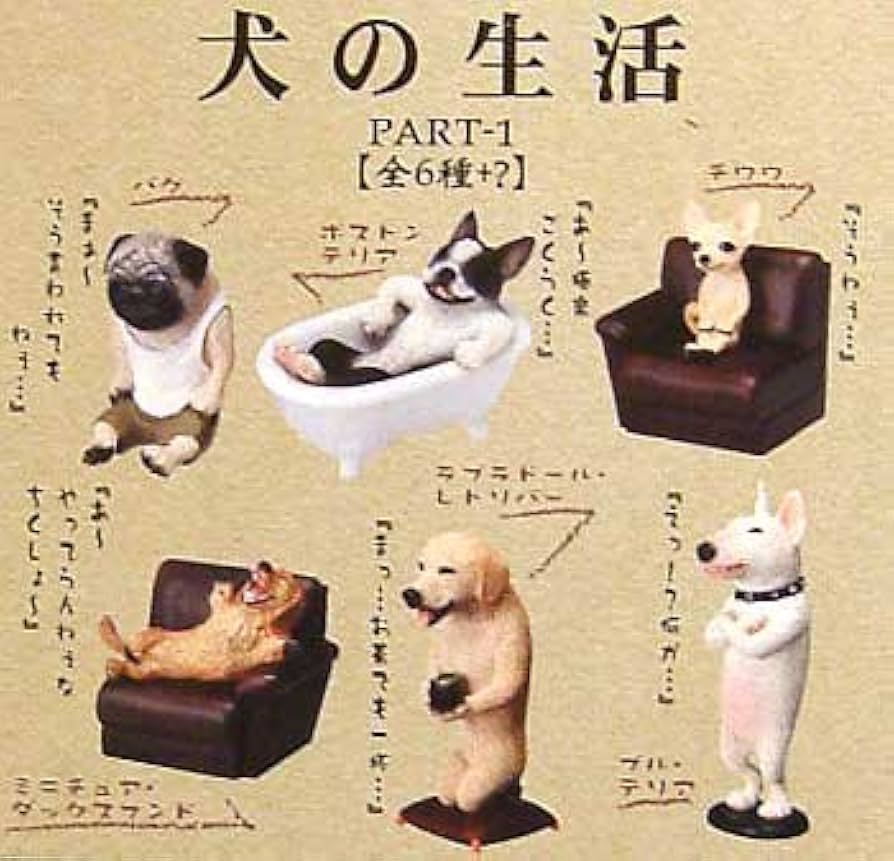 Amazon.co.jp: 朝隈俊男 犬のくらし 犬の生活 チワワ＆ミニチュア