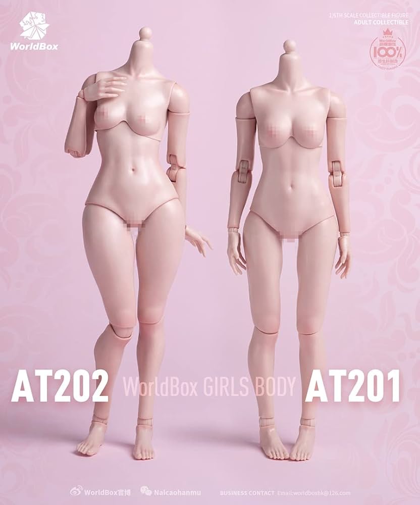 Amazon | [Tbmodel] Worldbox 1/6 フィギュア 女性 関節 素体 セット