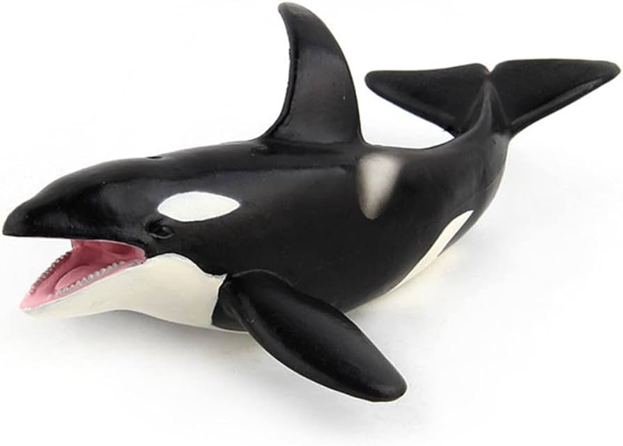 Amazon.co.jp: Igreli 海の動物モデル シャチ ミニチュア おもちゃ