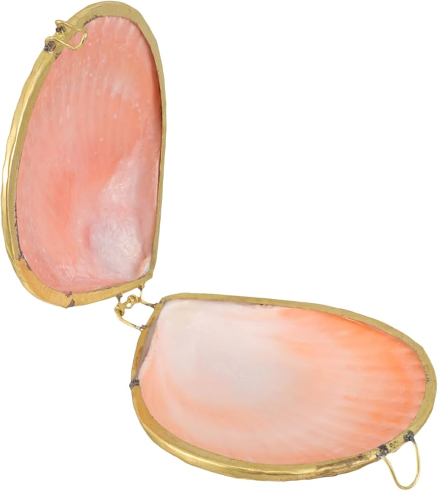 Amazon｜HOLIDYOYO 貝殻型ジュエ ス 小物収納ボックス アクセサリー