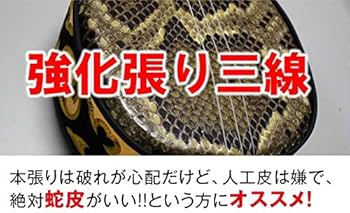 Amazon.co.jp: 三線セット（21点） 初心者に優しい！親切丁寧な楽譜