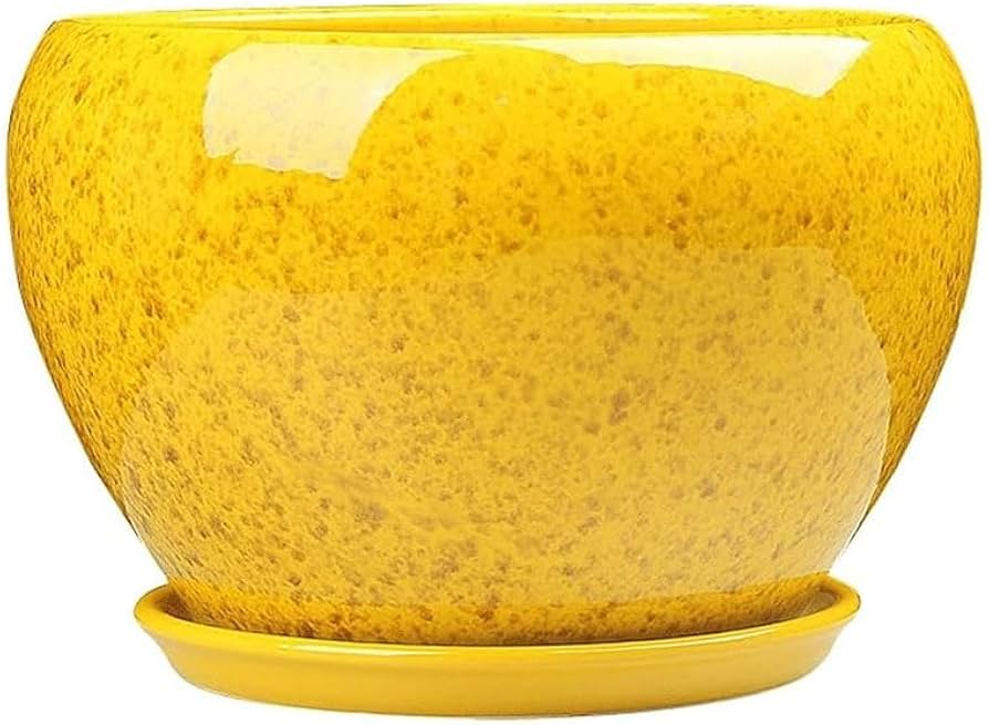 Amazon.com : Decbde Simple Flower Pot Chinese Style Yellow Flower
