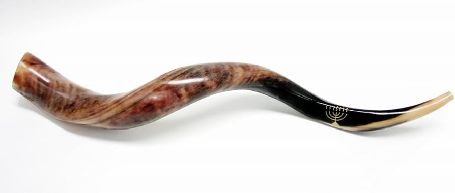 Amazon | Full-Polished Yemenite Shofar 【Jumbo(111-119cm)】 ショ