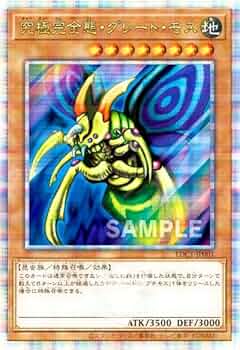 51FVkFd-IDL._AC_UF350,