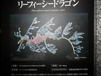 Amazon.co.jp: プレミアム 限定 いきもの大図鑑プレミアム リーフィー