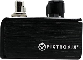 Amazon.com: Pigtronix Infinity 2 Looper Pedal : Musical Instruments