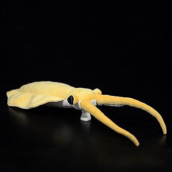 Amazon.co.jp: ZHONGXIN MADE リアルなカンブリア紀の古代生物