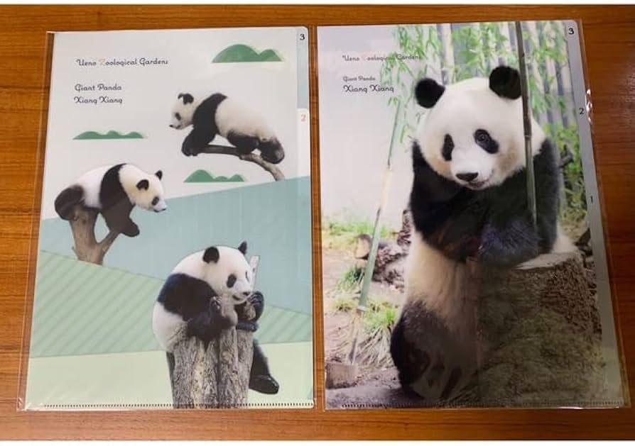 Amazon.co.jp: シャンシャン クリアファイル セット 上野動物園 パンダ