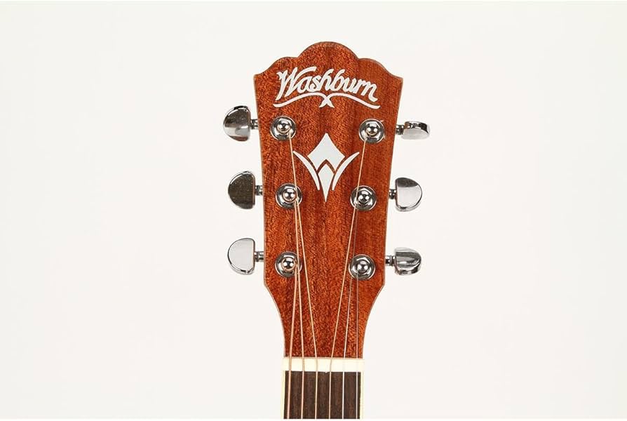 Amazon.com: Washburn Harvest D7S Dreadnought Acoustic Guitar (WD7S
