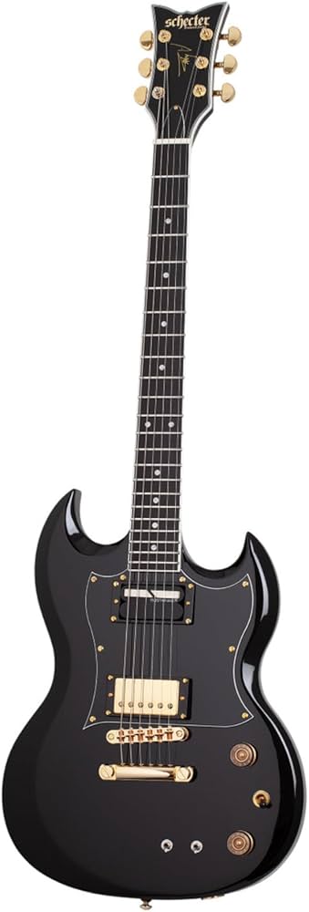 Amazon.com: Schecter ZV-H6LLYW66D-S Zacky Vengeance Signature