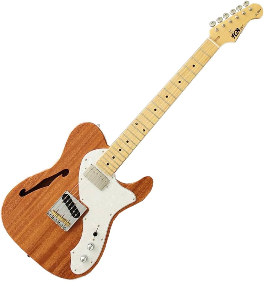 Amazon | FUJIGEN Neo Classic SERIES NTE110MMHT-NT/01 エレキギター