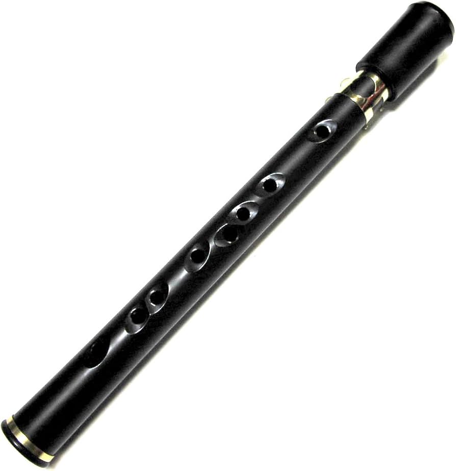 Amazon | Xaphoon ザフーン ABS樹脂性サックス POCKET SAX Black