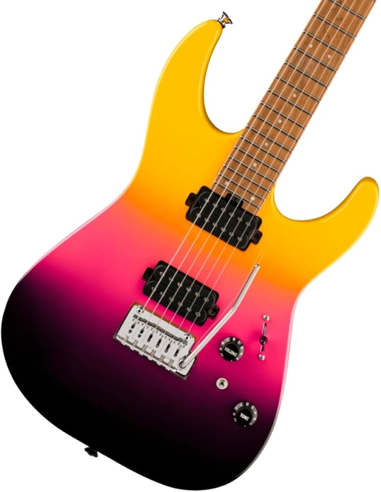 Amazon.com: Charvel Pro-Mod DK24 HH 2PT CM Electric Guitar