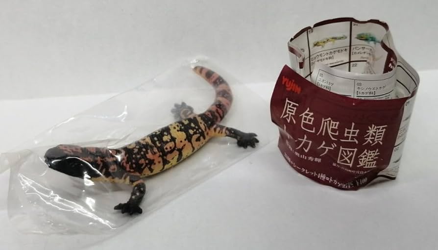 Amazon.co.jp: アメリカドクトカゲ 原色爬虫類トカゲ図鑑 ドクトカゲ