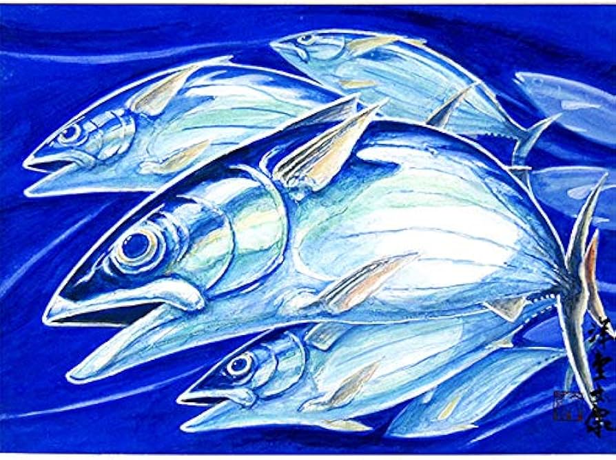 Amazon.co.jp: 安藤洋重『勝つ魚の群れ』洋画 動物画 魚 カツオ 鰹 勝