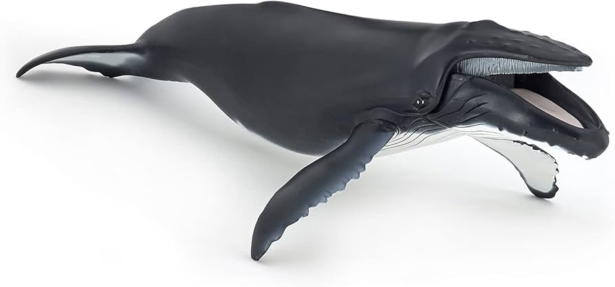 Amazon | Papo(パポ) ザトウクジラ PVC PA56001 | フィギュア・ドール 通販