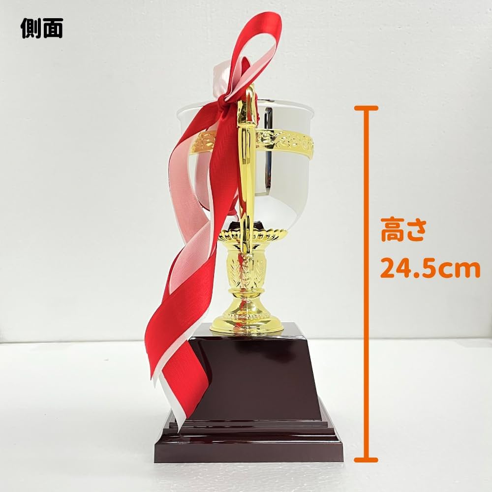 Amazon | 優勝カップ 高さ24.5cm 優勝文字入りプレート付き 樹脂製
