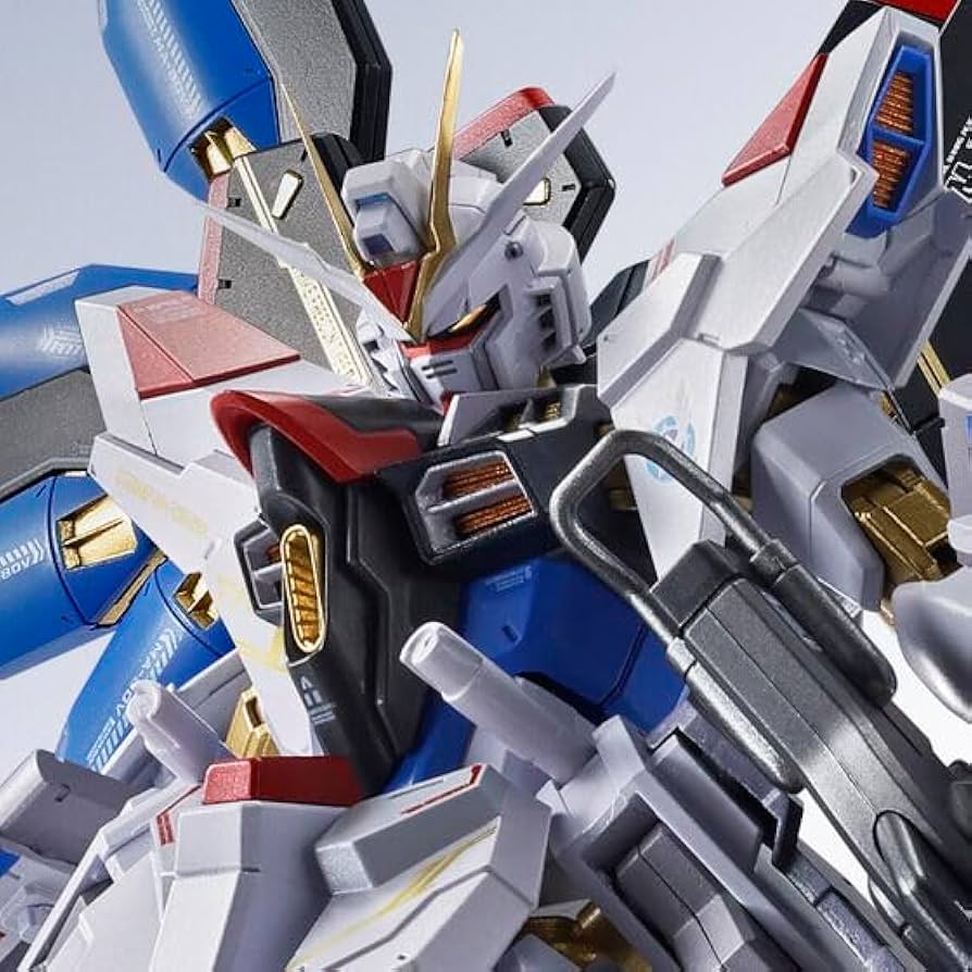 Amazon.co.jp: METAL ROBOT魂 ＜SIDE MS＞ ストライクフリーダムガ