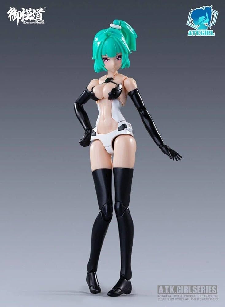 Amazon.co.jp: 「AC」御模道 1/12 機甲少女 四神 可動 玄武 美少女