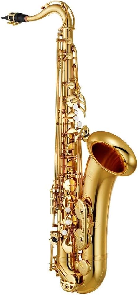 Amazon | ヤマハ YAMAHA テナーサックス スタンダード YTS-380