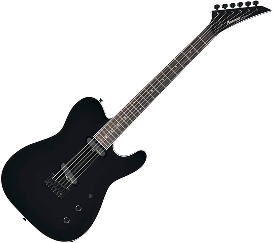 Amazon | FERNANDES フェルナンデス エレキギター TEJ-STD 2S '19 BLK