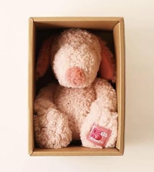 Amazon.co.jp: ピーナッツホテル 5周年記念 シリアルナンバー入り 限定