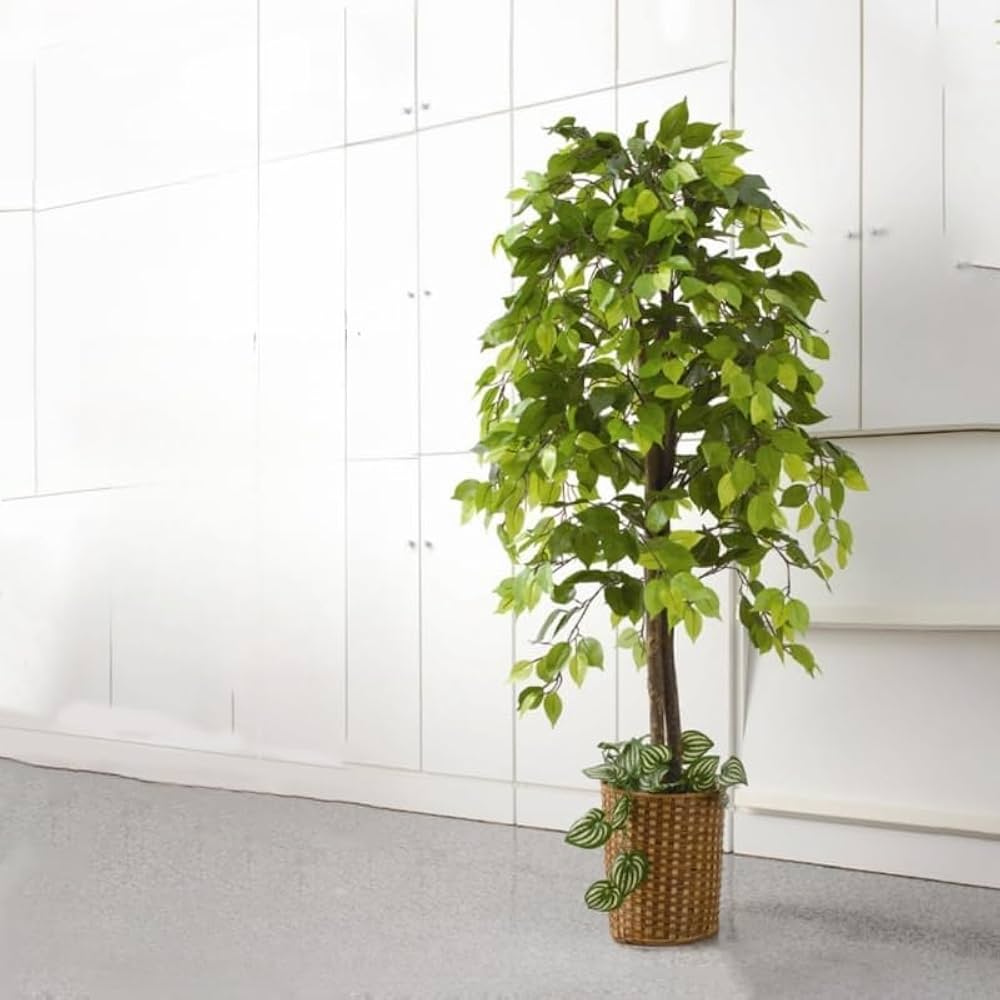 Amazon.co.jp: フェイクグリーン 大型 観葉植物 150cm リアル 造花 鉢