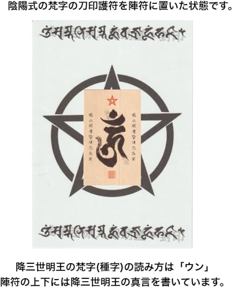 Amazon.co.jp: 【呪い返しの鎧守】生霊・悪霊の邪気や魔障など悪しき念