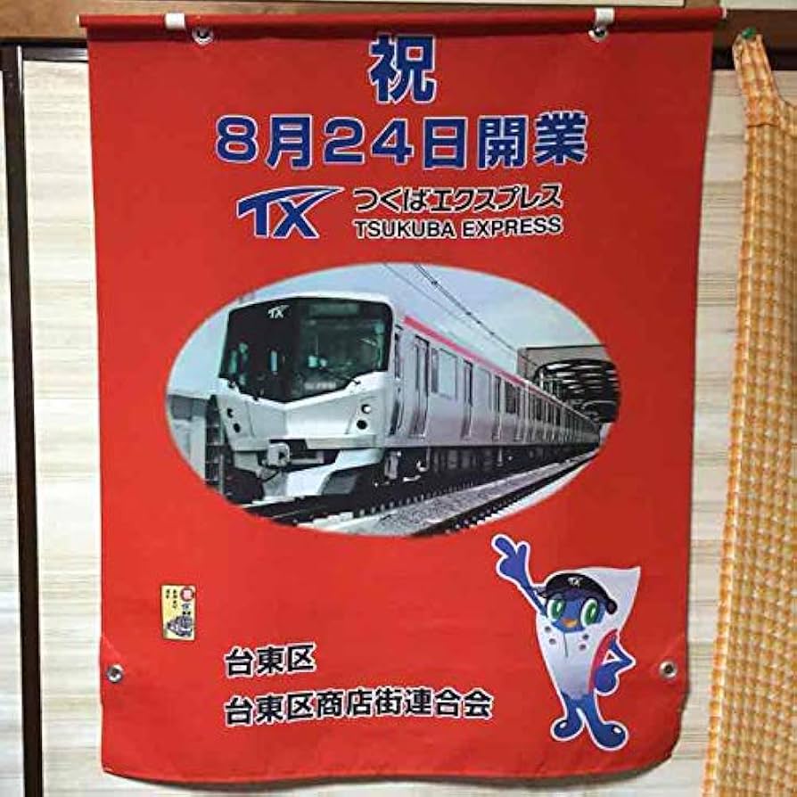 Amazon.co.jp: 限定 電車 つくばエクスプレス開業時2005年 : おもちゃ