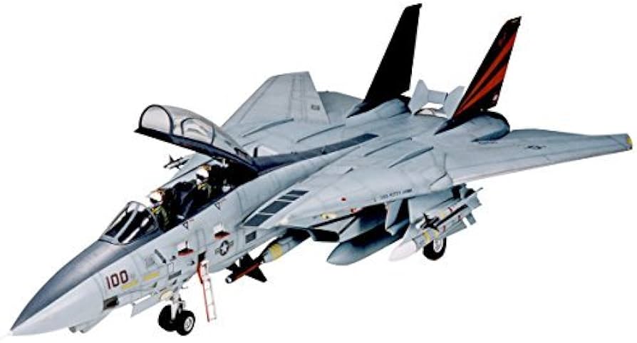 Amazon.com: Tamiya F-14D Tomcat Black Knights 1/32 Aircraft