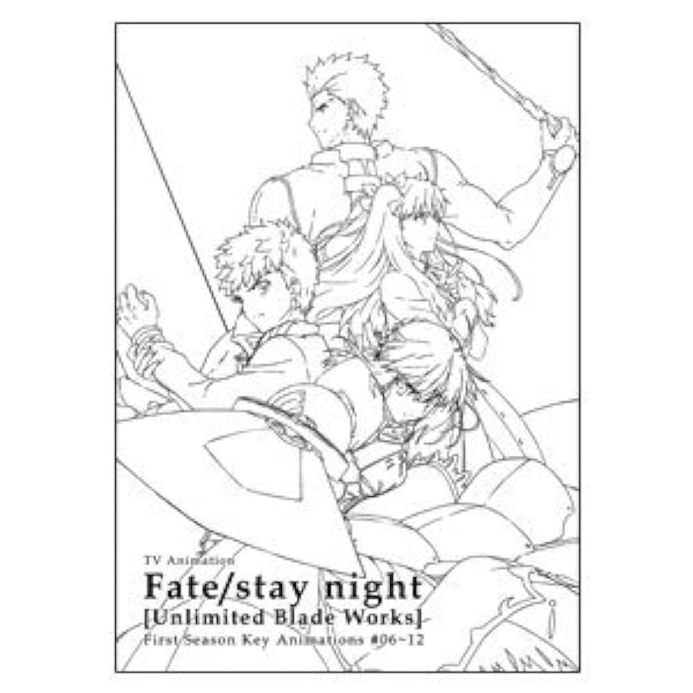Amazon.co.jp: Fate/stay night [Unlimited Blade Works] 原画集[後半