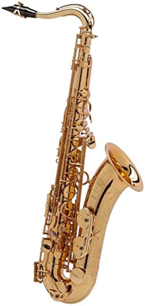 Amazon | H.SELMER TENOR SAX SERIE3 W/E GL Jubilee セルマー テナー
