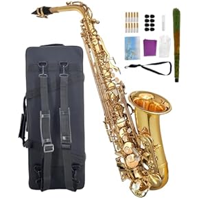 Amazon.co.jp: アルト - サックス: 楽器・音響機器