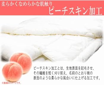 Amazon｜掛布団 2枚合わせ ダクロン フレッシュ オールシーズン