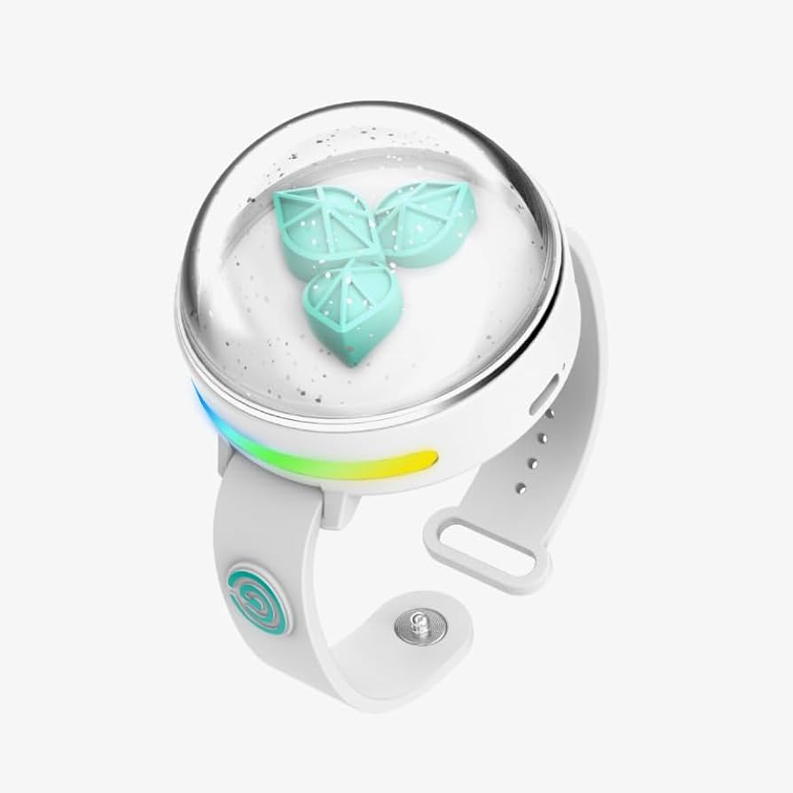 Amazon.com: DAY6 Official Light Band Ver.3 : Sports & Outdoors