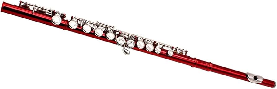 Amazon | クローズドフルート 赤いフルート 16穴 Cキーフルート レザー