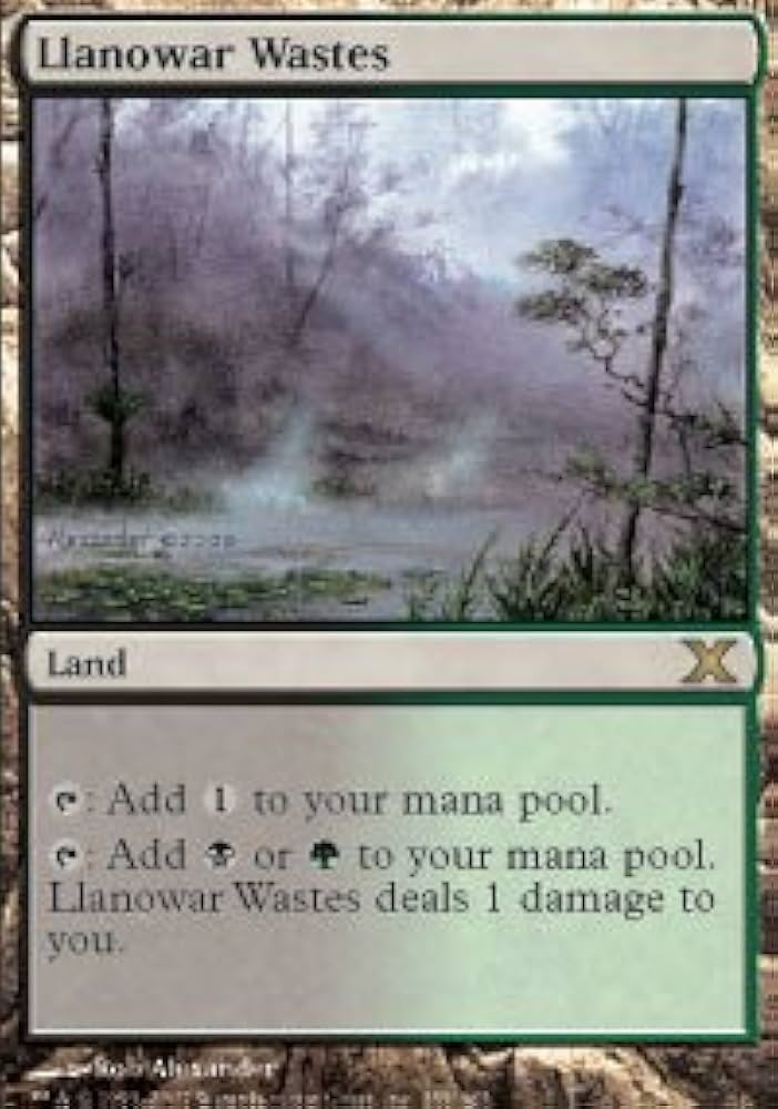 Amazon.co.jp: Magic: the Gathering - Llanowar Wastes (355/383