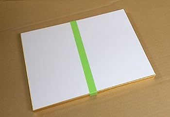 Amazon | 色紙 F4号サイズ 画仙紙 10枚 / 333×242mm / 京都府知事指定