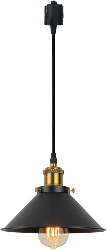 Amazon.co.jp : Kiven ペンダントライト ダクトレール用 電気 工事不要