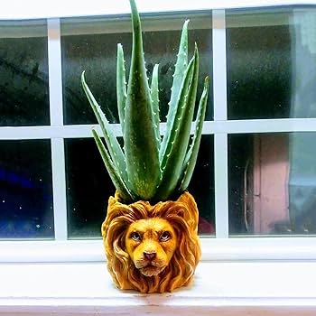 Amazon.co.jp: 植木鉢ライオン樹脂植木鉢、かわいい動物の形をした