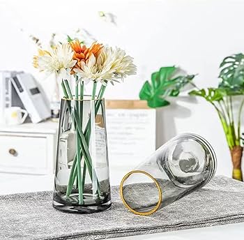 Amazon.co.jp: 花瓶 ガラス フラワーベース 花器 北欧風 大きい ガラス