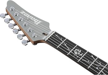 Amazon.com: Ibanez TOD10 Tim Henson Signature Electric Guitar