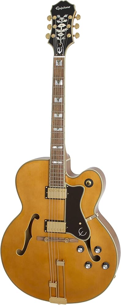 Amazon.com: Epiphone Broadway Hollowbody Vintage Natural : Musical