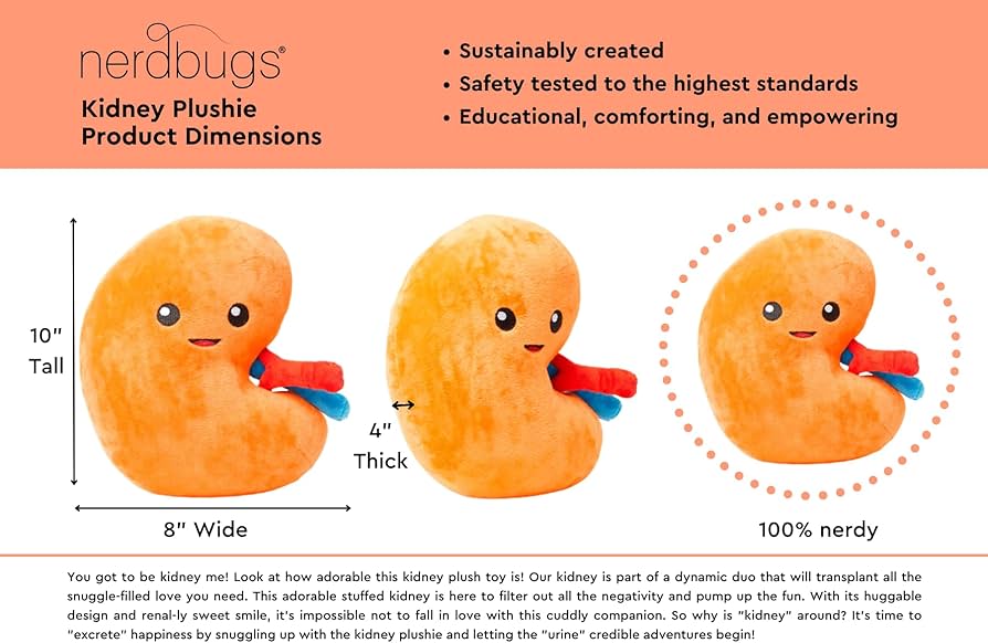 Amazon.co.jp: nerdbugs 腎臓ぬいぐるみ – 面白い泌尿器科ギフト 移植